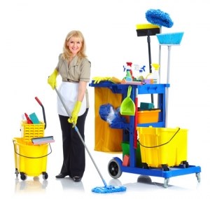 Cleaners Greenbank: Domestic cleaning
