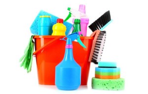 Cleaners Greenbank: Domestic cleaning