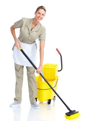 Cleaners Greenbank: Domestic cleaning