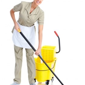 Cleaners Greenbank: Domestic cleaning